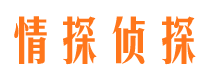 灵川市婚外情取证